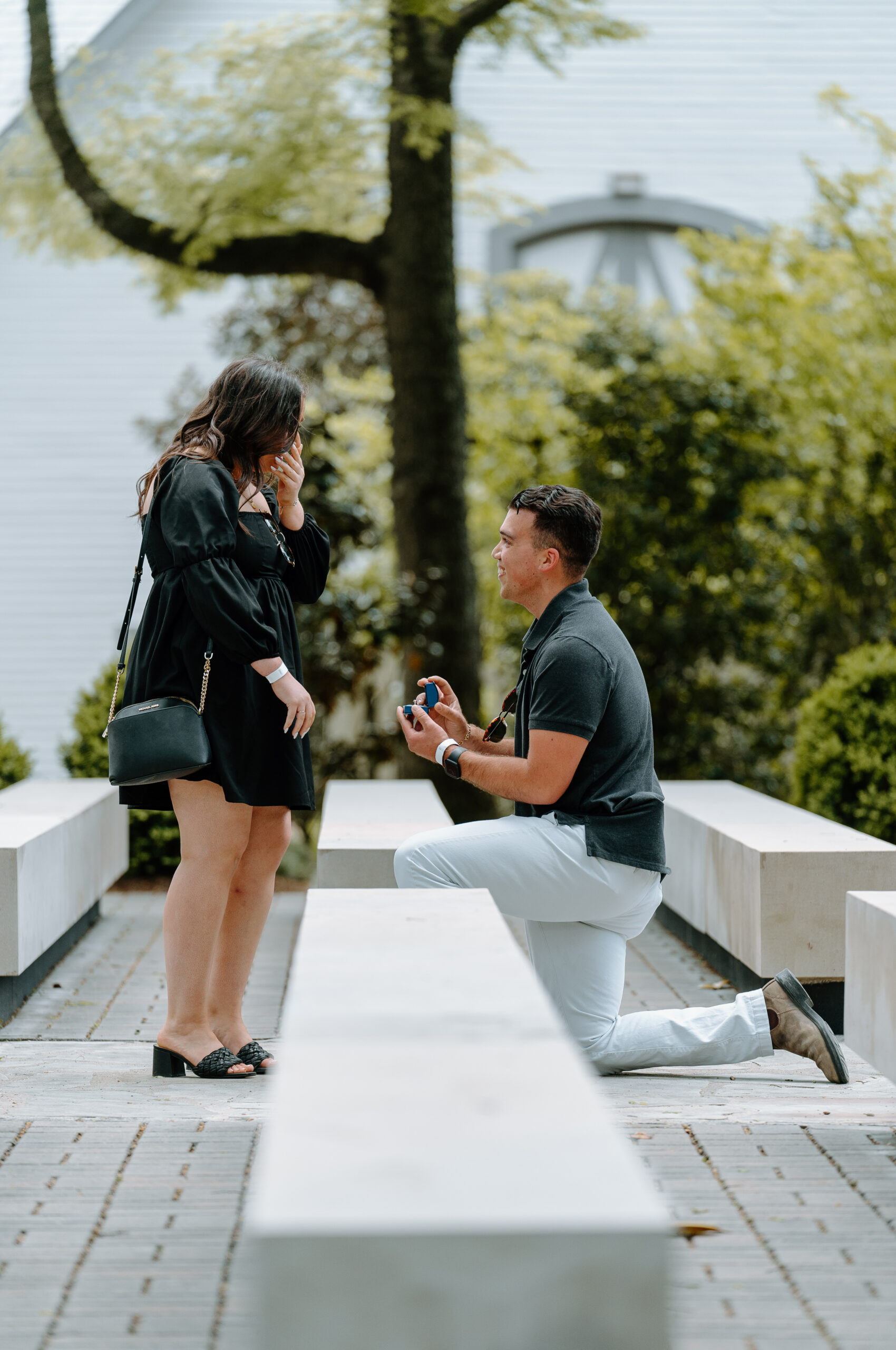 proposal happening at belle meade plantation & winery