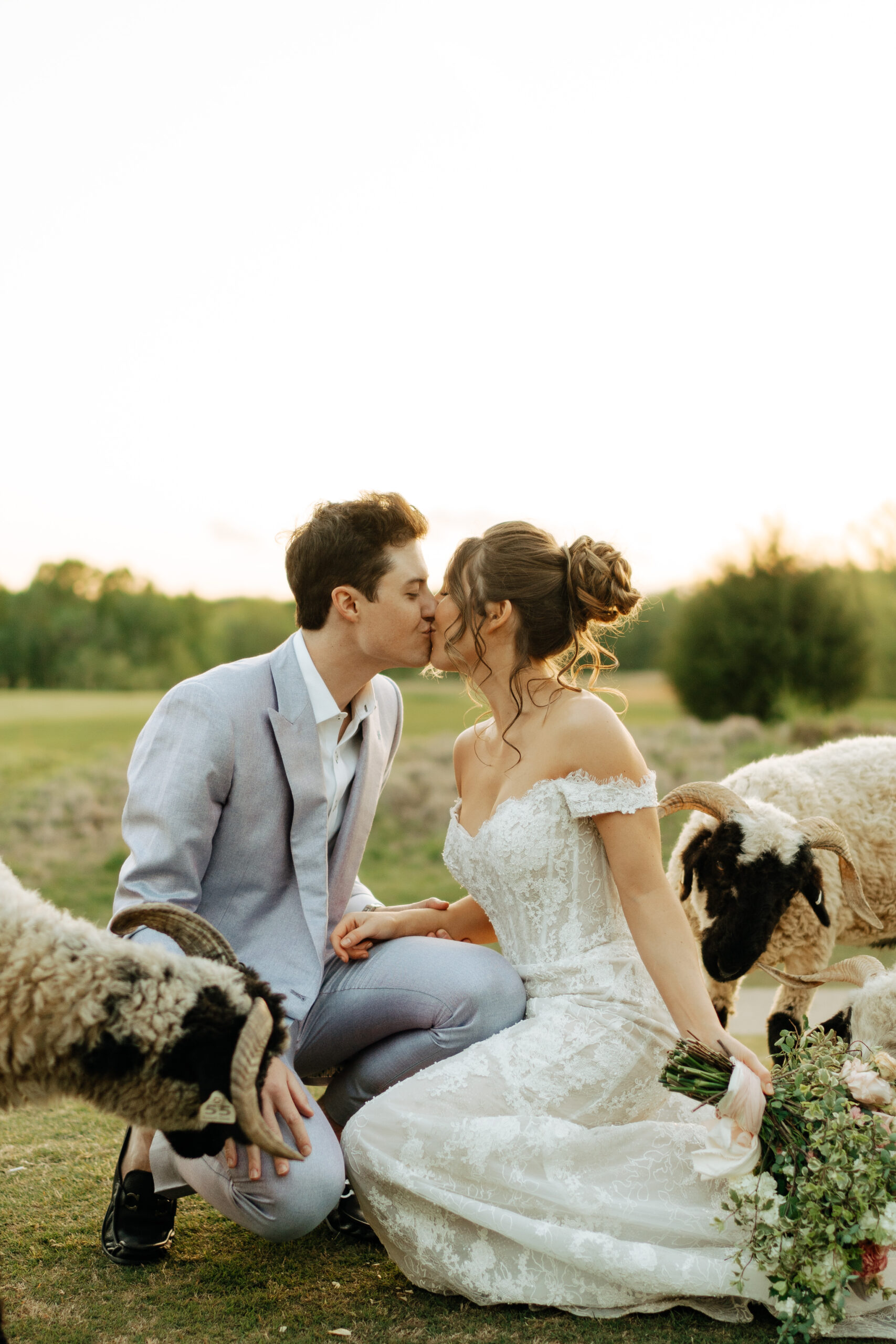couple kissing next to sheep at hermitage golf